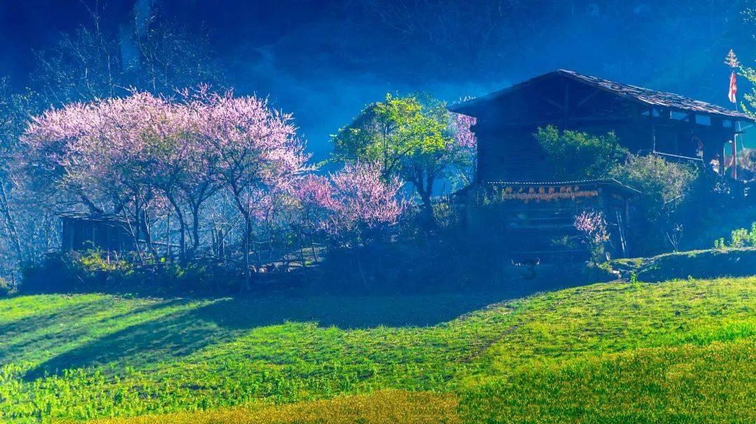 未知岛屿