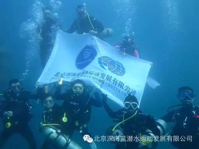 动物帮帮忙保卫家园